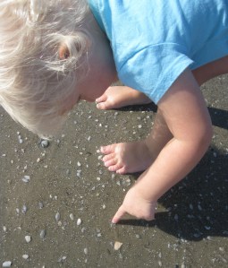 Sophie blog photo 2016